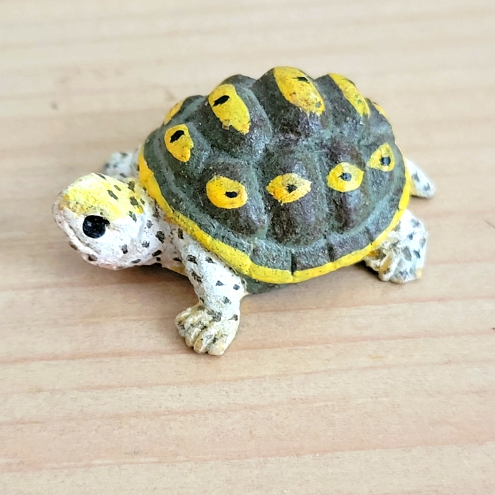 Mini Ornate Diamondback Turtle